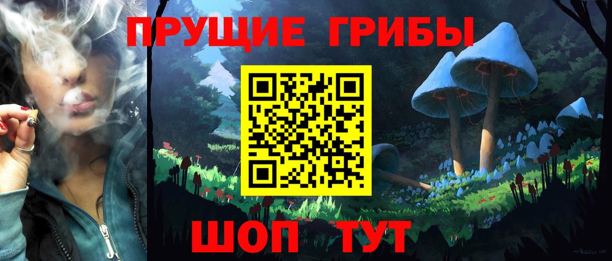Галлюциногенные грибы ЛСД Березники