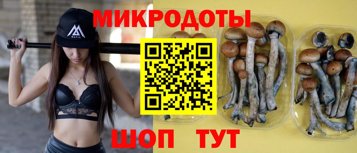 Березники  Псилоцибиновые грибы Psilocybine cubensis  Вход с VPN  Псилоцибиновые грибы мицелий 